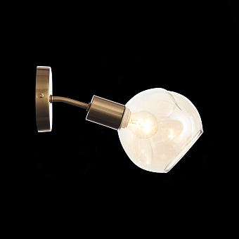 Светильник настенный Evoluce GENTORE SLE155301-01 60Вт E14