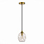 Люстра подвесная ST Luce IDESIA SL1188.303.01 40Вт 1 лампочек E14