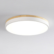 Светильник потолочный ImperiumLOFT Disc 101526-26 24Вт LED