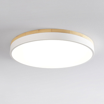 Светильник потолочный ImperiumLOFT Disc 101526-26 24Вт LED
