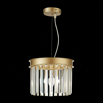 Светильник подвесной ST Luce Ercolano SL1624.203.01 40Вт E14