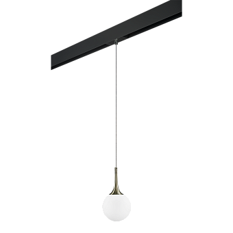 Трековый светильник Lightstar Globo PRO813011 40Вт E14 белый для однофазного трека