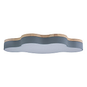 Светильник потолочный Loft It Axel 10005/36 Grey 36Вт LED