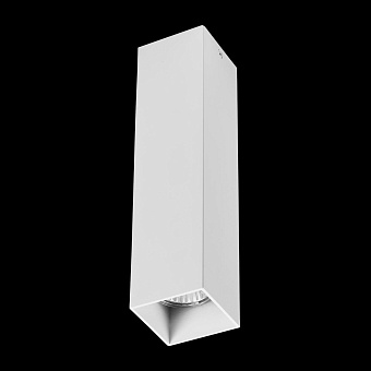 Светильник потолочный Lightstar RULLO 216396 50Вт GU10
