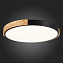 Светильник потолочный Evoluce DELIA SLE201342-01 40Вт LED