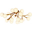 Светильник потолочный Maytoni Dallas MOD545CL-20BS 560Вт G9