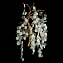 Бра Loft It Fairytree 10066W GB 15Вт G9