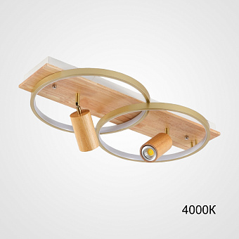 Светильник потолочный ImperiumLOFT Didrika 223833-23 44Вт LED