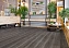 Виниловый ламинат Alpine Floor Каддо ЕСО 11-20 1524х180х4мм 43 класс 2,74кв.м