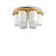 Светильник потолочный IDEAL LUX DAISY 247779 60Вт E27