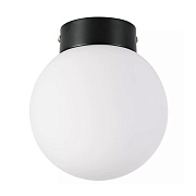 Светильник настенно-потолочный Lightstar Globo 812017 40Вт E14