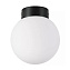 Светильник настенно-потолочный Lightstar Globo 812017 40Вт E14
