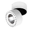 Светильник потолочный Lightstar Forte 381363 35Вт LED