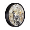 Светильник настенный Odeon BERGI 5064/15WL 15Вт LED
