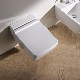 Сиденье для унитаза GEBERIT 500.537.01.1 с микролифтом