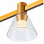 Магнитный трековый светильник ST Luce FARM ST814.206.03 3Вт LED дымчатый
