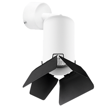 Светильник настенно-потолочный Lightstar Rullo RB436437 50Вт GU10