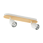 Светильник потолочный TK Lighting Top 3295 50Вт GU10