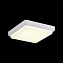 Светильник потолочный Evoluce TADDIO SLE200212-01 20Вт LED
