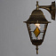 Светильник фасадный Arte Lamp BERLIN A1012AL-1BN 75Вт IP44 E27 золотой/чёрный