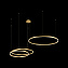 Светильник подвесной Loft It Ring 10017/3S 76Вт LED