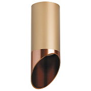 Светильник настенно-потолочный Lightstar Rullo R440130 50Вт GU10