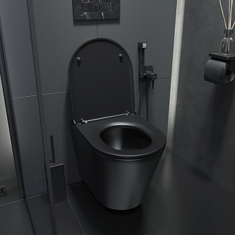 Унитаз подвесной IDDIS Calipso CALR3BMi25 безободковый с микролифтом