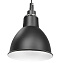 Светильник подвесной Lightstar Loft 765017 40Вт E14
