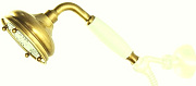 Ручной душ CAPRIGO PARTS 99-160-oro золото
