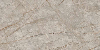 Лаппатированный керамогранит Atlas Concord Россия Empire 610015000603 Silver Root Lapp 80х160см 2,56кв.м.