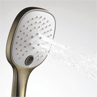 Ручной душ WASSERKRAFT Exter 1600 A050 светлая бронза
