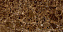 Полированный керамогранит Global Tile Dark Emperador_GT GT120604904HPR коричневый 60х120см 1,44кв.м.