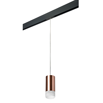 Трековый светильник Lightstar Rullo PRORP43031 50Вт GU10 матовый для однофазного трека