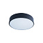 Светильник потолочный Loft It Axel 10002/12 Black 12Вт LED