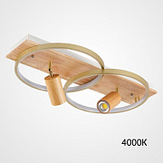 Светильник потолочный ImperiumLOFT Didrika 223837-23 58Вт LED