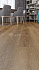 Виниловый ламинат Alpine Floor Пайни ЕСО 11-28 1220х183х4мм 43 класс 2,23кв.м