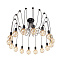 Люстра подвесная Loft It Spider LOFT1162/16 640Вт 16 лампочек E27