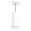 Светильник подвесной Lightstar RULLO RP648680 50Вт GU10