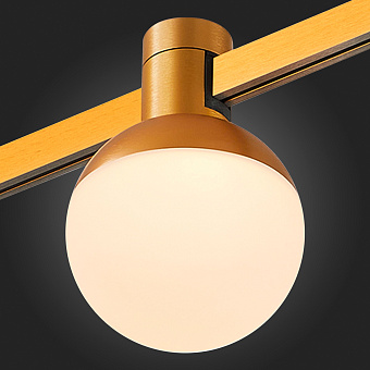 Магнитный трековый светильник ST Luce FARM ST815.206.05 5Вт LED белый