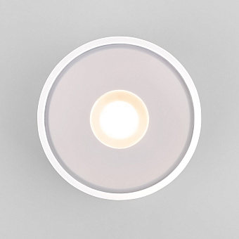 Светильник фасадный Elektrostandard Light a057471 35141/H 12Вт IP65 LED белый