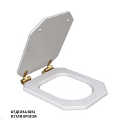 Сиденье для унитаза CAPRIGO KFe-AB-B074 с микролифтом