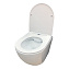 Унитаз подвесной Comforty 00-00003086 с микролифтом