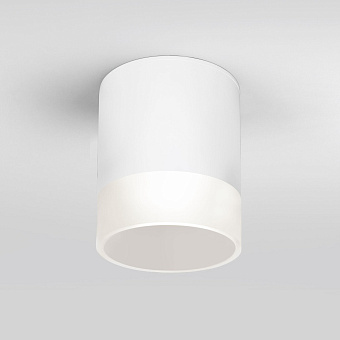 Светильник фасадный Elektrostandard Light a057160 35140/H 15Вт IP54 LED белый