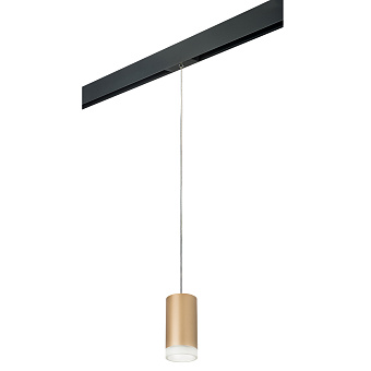 Трековый светильник Lightstar Rullo PRORP44030 50Вт GU10 золото для однофазного трека