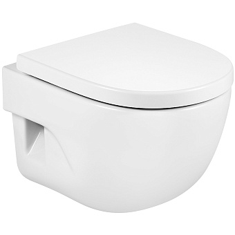 Унитаз подвесной ROCA Meridian N 346248000 ободковый с микролифтом