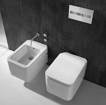 Панель смыва ROCA Duplo 7.8900.9.600.5 белый/хром