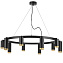 Люстра подвесная Lightstar Rullo LR02037587540 500Вт 10 лампочек GU10