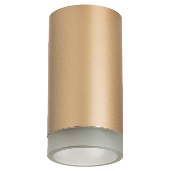 Светильник настенно-потолочный Lightstar Rullo R44030 50Вт GU10