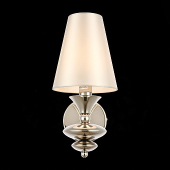 Светильник настенный Evoluce RIONFO SL1137.101.01 40Вт E14