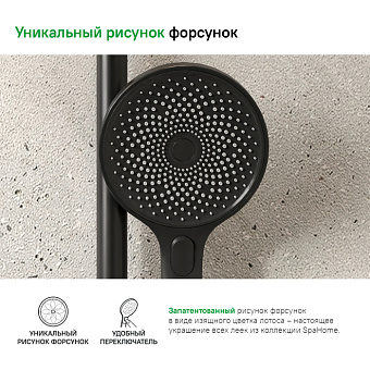 Ручной душ IDDIS SpaHome SPA3F0Bi18 чёрный матовый